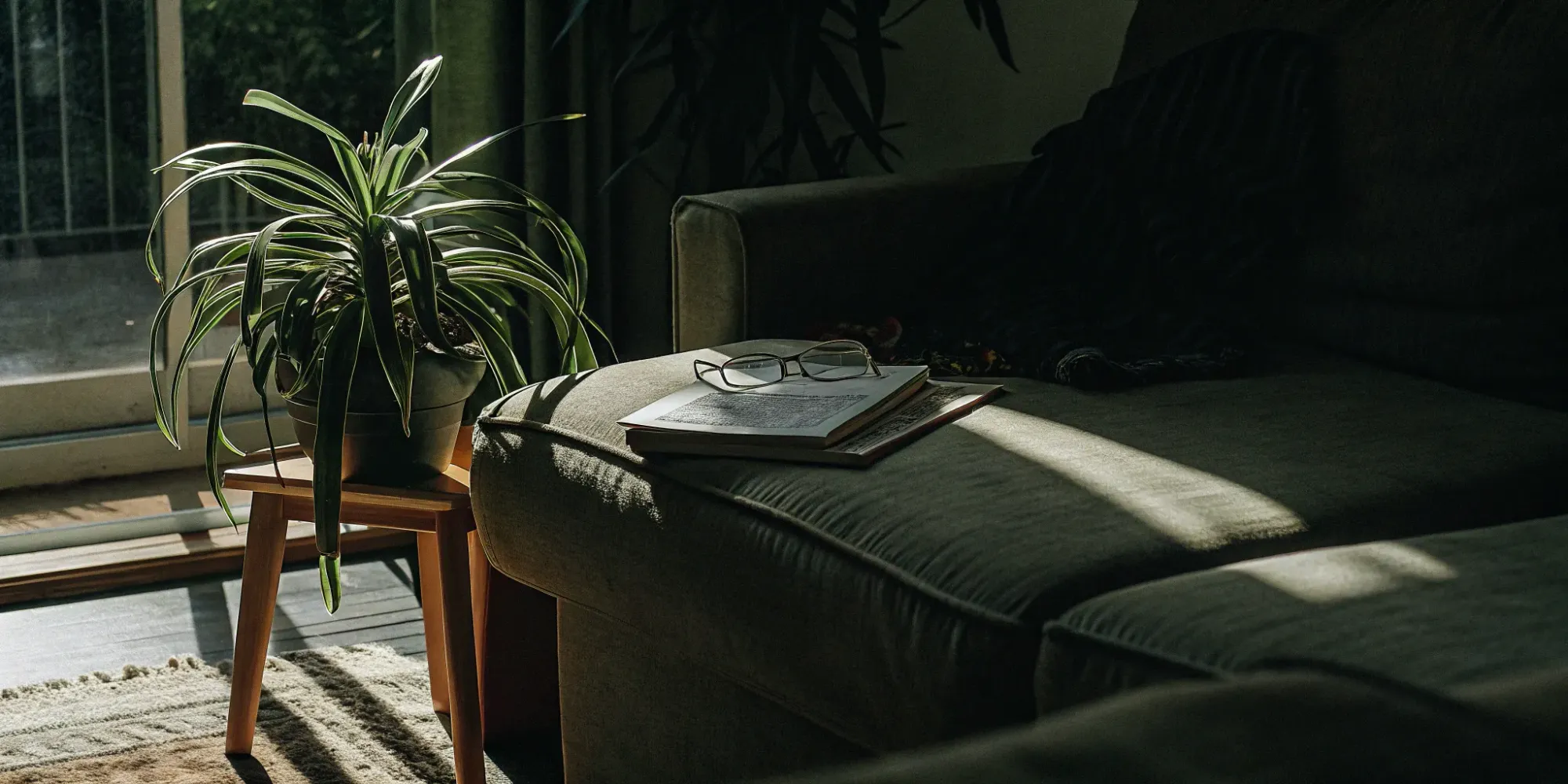 Missouri renters insurance protects belongings in a cozy living room.